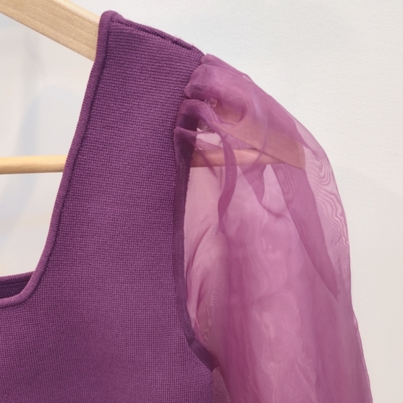 House of Harlow 1960 Sheer Puff Sleeves Knit Top - Picture 5 of 12